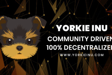 Yorkie Inu